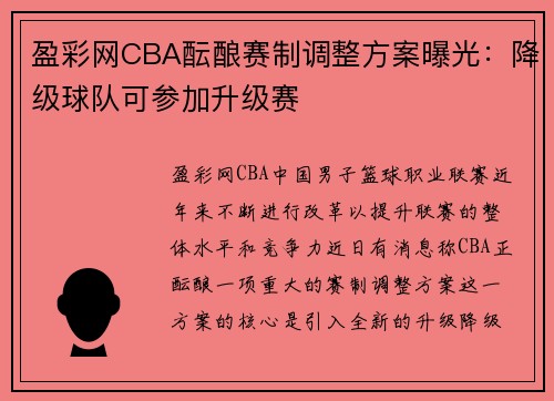 盈彩网CBA酝酿赛制调整方案曝光：降级球队可参加升级赛